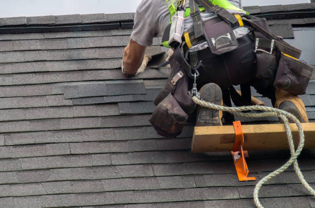 Roof Insulation Installation in Wells Branch, TX